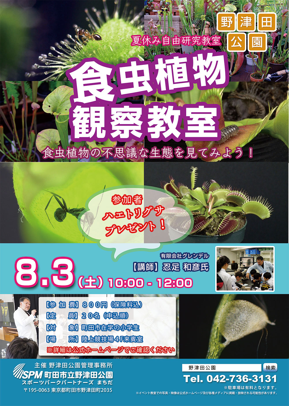 8月3日 土 食虫植物教室を開催 夏休み自由研究 町田市立野津田公園オフィシャルサイト